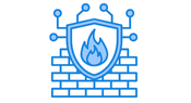 Firewalls & Security Appliances